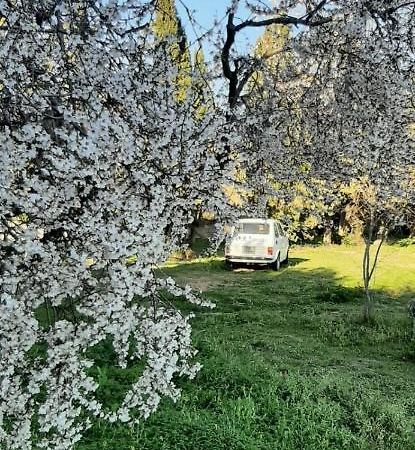 Bed and Breakfast Domo Mia Telti Zewnętrze zdjęcie
